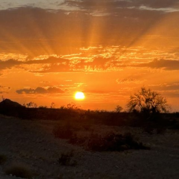 Meet your Posher, Paula - Picture 1 of 1